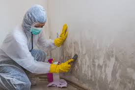 Best Commercial Mold Inspection  in Becker, MN